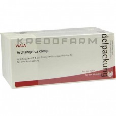 Архангеліка Комп ● Archangelica Comp