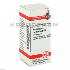 Аристолохія Клематитис ● Aristolochia Clematitis