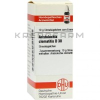 Аристолохия Клематитис ● Aristolochia Clematitis