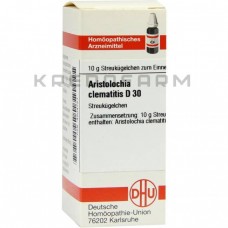 Аристолохія Клематитис ● Aristolochia Clematitis