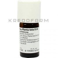 Арніка Планта ● Arnica Planta