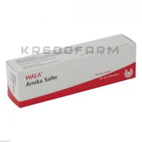 Арніка ● Arnika