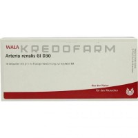 Артерия Реналис ● Arteria Renalis