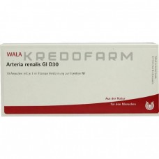 Артерія Реналіс ● Arteria Renalis