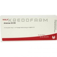 Артерия ● Arteriae