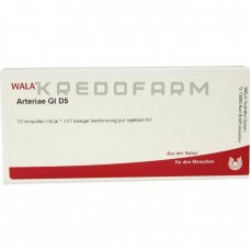 Артерія ● Arteriae