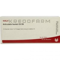 Артикулатио ● Articulatio