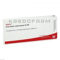 Артикулатио ● Articulatio