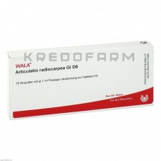 Артикулатио ● Articulatio