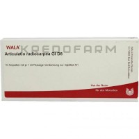 Артикулатио ● Articulatio