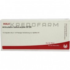 Артикулатио ● Articulatio