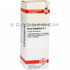 Арум Трифіллюм ● Arum Triphyllum