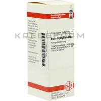 Арум Трифиллюм ● Arum Triphyllum