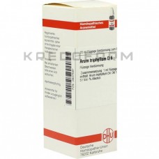 Арум Трифіллюм ● Arum Triphyllum