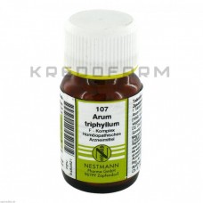 Арум Трифіллюм ● Arum Triphyllum