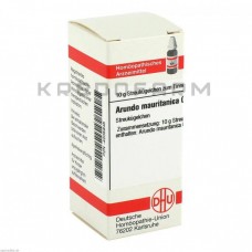 Арундо ● Arundo