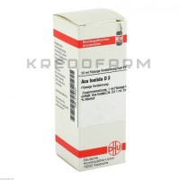 Аса Фоетіда ● Asa Foetida