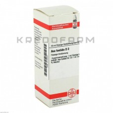 Аса Фоетіда ● Asa Foetida