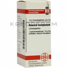 Асарум Європеум ● Asarum Europaeum