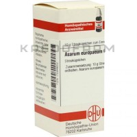 Асарум Европеум ● Asarum Europaeum