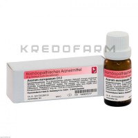 Асарум Европеум ● Asarum Europaeum