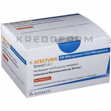 Атектура ● Atectura