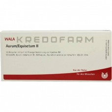 Аурум Еквізетум ● Aurum Equisetum