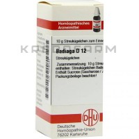 Бадяга ● Badiaga