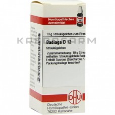 Бадяга ● Badiaga