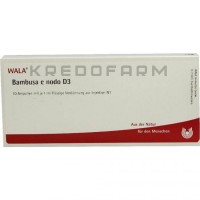 Бамбуса ● Bambusa