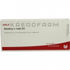 Бамбуса ● Bambusa