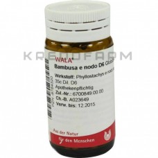 Бамбуса ● Bambusa