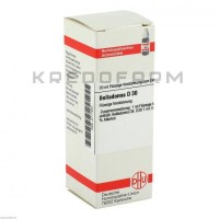 Белладонна ● Belladonna