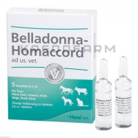 Белладонна Хомаккорд ● Belladonna Homaccord