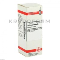 Беллис Переннис ● Bellis Perennis