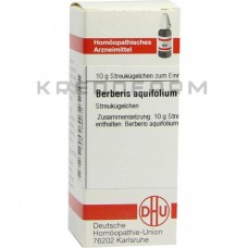 Берберіс Аквіфоліум ● Berberis Aquifolium