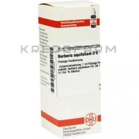 Берберіс Аквіфоліум ● Berberis Aquifolium