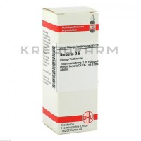 Берберис ● Berberis