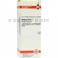 Берберис ● Berberis