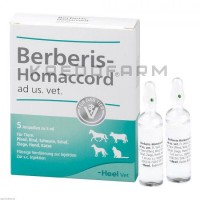 Берберис Хомаккорд ● Berberis Homaccord