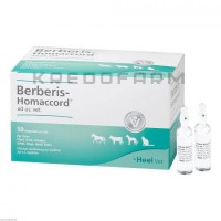 Берберис Хомаккорд ● Berberis Homaccord
