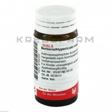 Берберіс Гіперікум ● Berberis Hypericum