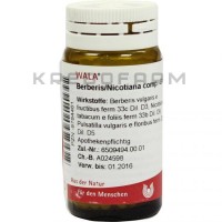 Берберис Никотиана ● Berberis Nicotiana