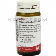 Берберіс Нікотіана ● Berberis Nicotiana