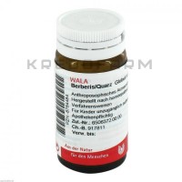 Берберис Кварц ● Berberis Quarz