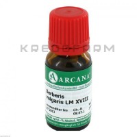 Берберіс Вулгаріс ● Berberis Vulgaris