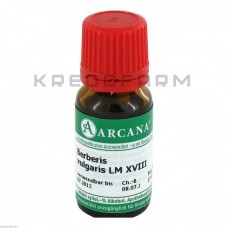 Берберіс Вулгаріс ● Berberis Vulgaris