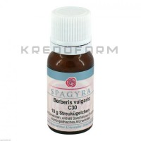 Берберіс Вулгаріс ● Berberis Vulgaris