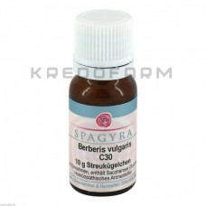 Берберіс Вулгаріс ● Berberis Vulgaris