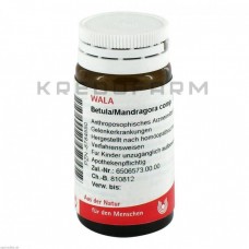 Бетула Мандрагора ● Betula Mandragora